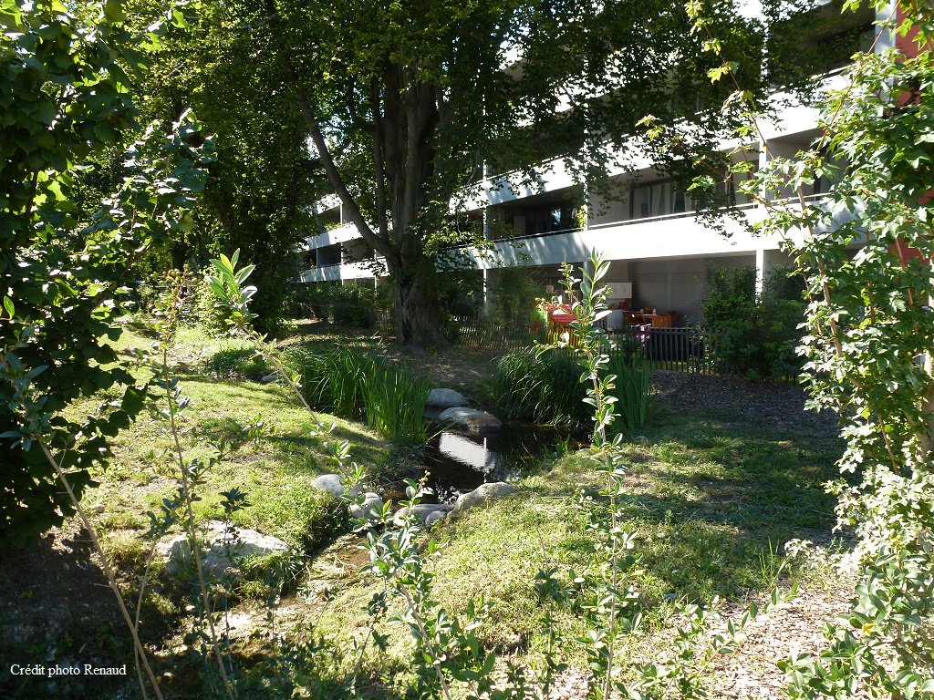 CASNaturenville's tweet image. Complétez vos compétences en matière de #nature en ville et #végétalisation par la formation donnée à #Genève : le CAS Nature en ville.  
La formation est reconnue et soutenu par l’Office fédéral de l’environnement et le canton de Genève.
► natureenville.ch