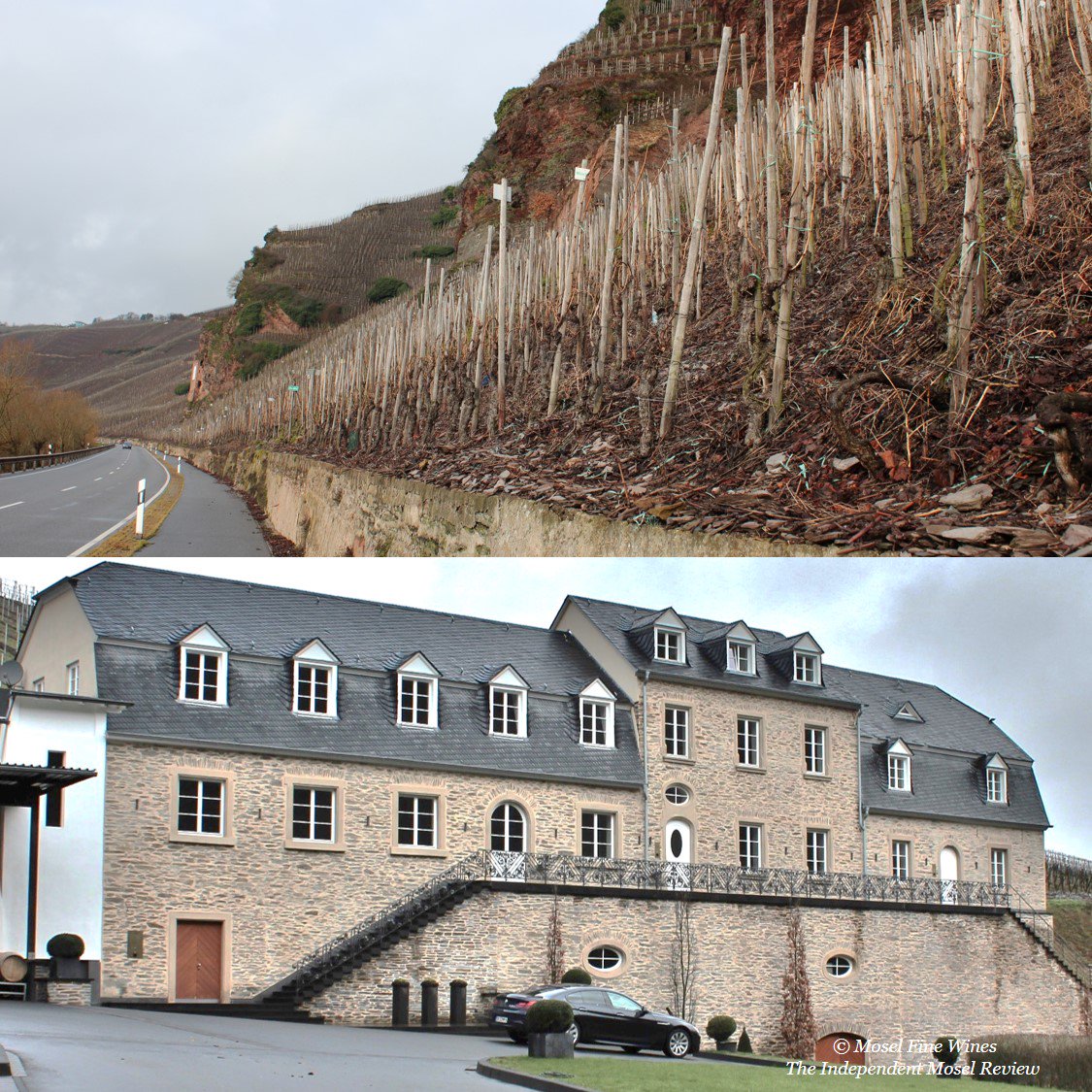 moselfinewines's tweet photo. @MarkusMolitor takes over the vineyards of the historic Jos Christoffel jr estate and enters the coveted club of Erdener Prälat growers https://t.co/BmATKdQO72
To the best of our knowledge, Markus now tends vines in ALL Grand Crus from Kinheim to Bernkastel. Quite an achievement! https://t.co/INUji12bDc