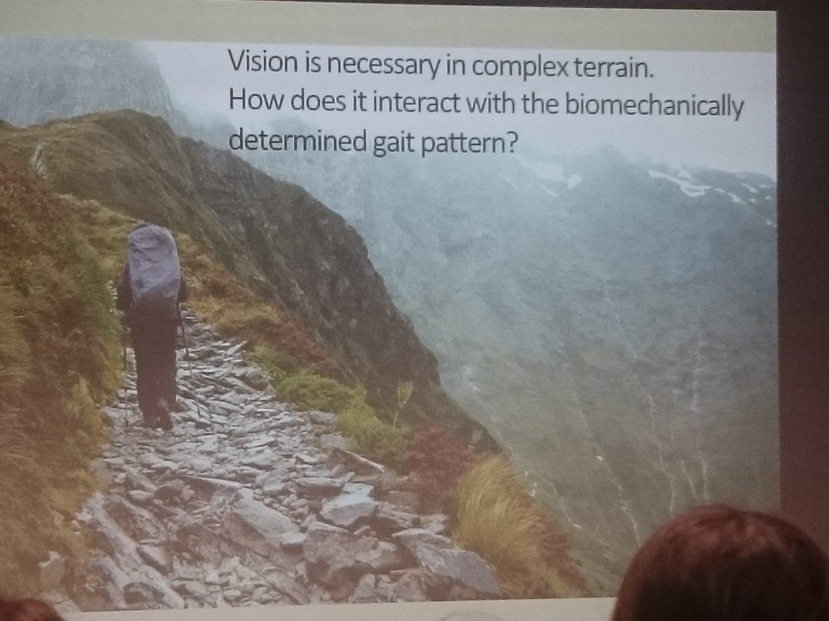sfeu's tweet photo. Keynote talk from Mary Hayhoe about vision in natural behavior #teap2018 https://t.co/miuu15S8G6