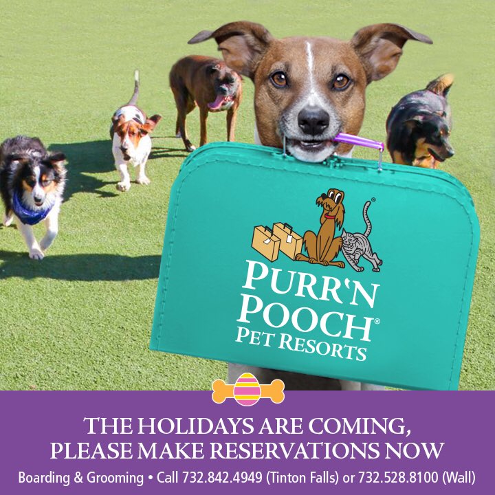 PurrNPooch's tweet photo. Don’t forget to book your spring break/Easter reservations! https://t.co/0lIvtiJ3ke