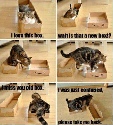 Munchkin_George's tweet photo. True story https://t.co/uxVk4YIL6N