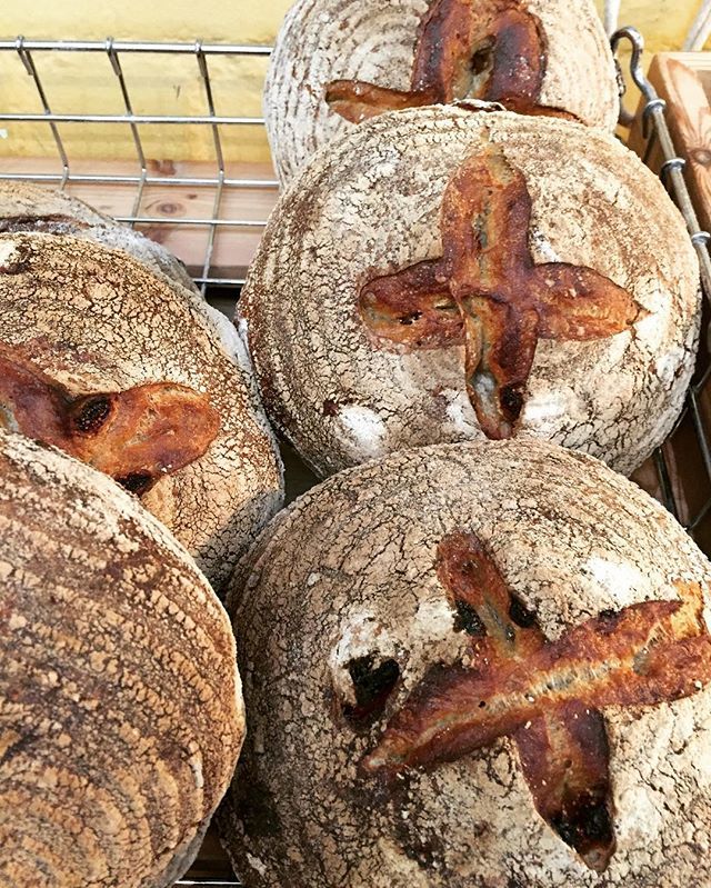 Marks_Bread's tweet photo. Todayβs Bread Special - Fig & Black Pepper Sourdough, ohhhh itβs so good! #dailybread #figandblackpepper #sourdough #bristolbread #artisan #shoplocal #artisanbakery #cafe https://t.co/i0bNNmqCLG https://t.co/BC0rTGEPUV