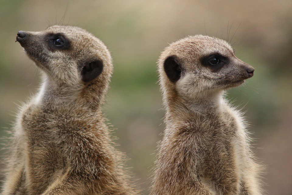 Omgaan met #weerstand - Human <a href="/HumanConsult1/">Human Consult</a> #training #coaching human-consult.nl/omgaan-met-wee…