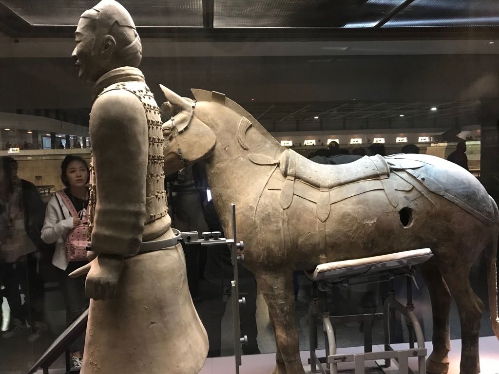 marqalicante's tweet photo. Nueve figuras de los Guerreros de Xi’an y uno de los famosos caballos del ejército imperial de terracota reconocido en 1987 como Patrimonio de la Humanidad, formarán parte de la próxima exposición internacional del #MARQ
Más información en https://t.co/sLx1ctzzAA https://t.co/S5P2FxDHO8