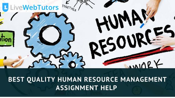 OliviaCrew18's tweet image. Best Quality Human Resource Management Assignment Help From LiveWebTutors.
👉wallinside.com/post-63666653-…

#HumanResourceManagementAssignmentHelp#ManagementAssignmentHelp#AssignmentHelp