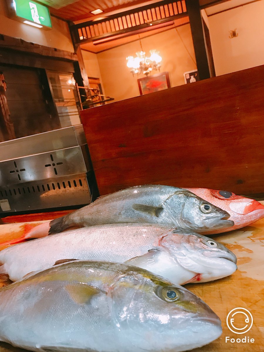 ManRyo1's tweet photo. オススメ変更しました😊🐟
今回の目玉料理は〜〜
🐟『お刺身』料理です🐟
手前から
⭐︎カンパチ
⭐︎サーモン
⭐︎スズキ
⭐︎ハチビキ
ちなみに一番奥のハチビキは
白身魚なのに身が赤いという🤭🤭笑
面白いお魚ですね🤣笑
・
今日も楽しくマンリョウで飲みましょう🏆
おまちしていま〜す🌜🌜 https://t.co/UhjaOqj1Rn