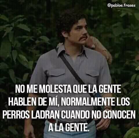 GeinnerRH's tweet image. 