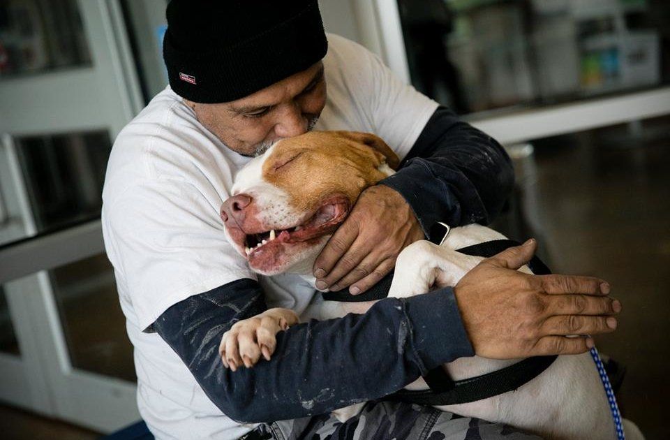 Titus the dog was so happy to be reunited with his dad, who came back to the shelter to save him 💕 thedo.do/2FCdlIs