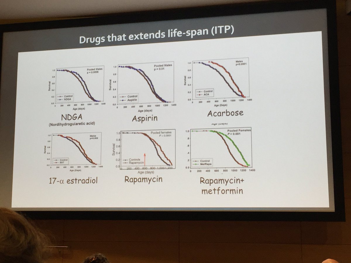 imtinnovation's tweet photo. Ageing is the strongest factor for all age related diseases 🤔 and drugs that extend life-span 😳 #ageing #stopageing #WIREDhealth #wiredhealth18 https://t.co/ZCjVKs9Sfr