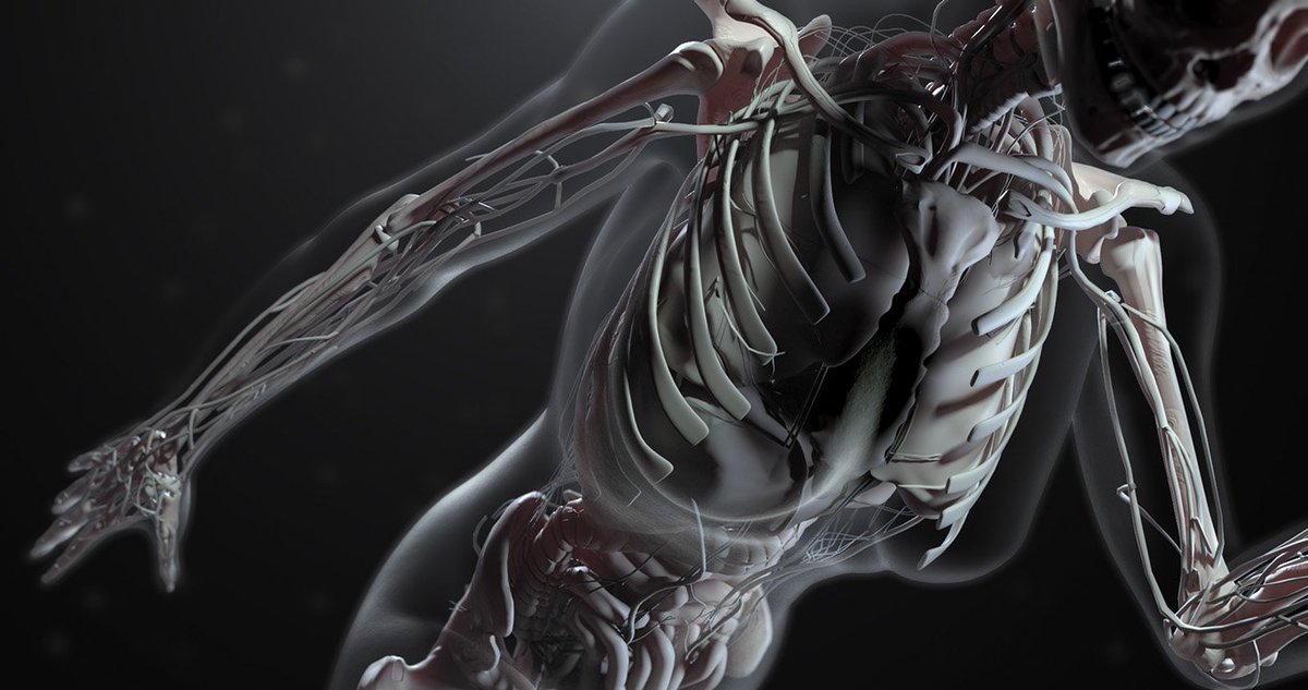 BSC-CNS (@bsc_cns) on Twitter photo No te pierdas "Virtual Humans", un corto que muestra las posibilidades del uso de #HPC para profundizar en los procesos que tienen lugar dentro del cuerpo. El documental está hecho por el <a href="/BSC_CNS/">BSC-CNS</a> en el marco de <a href="/bio_comp/">CompBioMed</a> bsc.es/ZSY <a href="/thefercook/">Fernando Cucchietti</a> <a href="/guillermomag/">Guille Marin</a> No te pierdas "Virtual Humans", un corto que muestra las posibilidades del uso de #HPC para profundizar en los procesos que tienen lugar dentro del cuerpo. El documental está hecho por el <a href="/BSC_CNS/">BSC-CNS</a> en el marco de <a href="/bio_comp/">CompBioMed</a> bsc.es/ZSY <a href="/thefercook/">Fernando Cucchietti</a> <a href="/guillermomag/">Guille Marin</a>