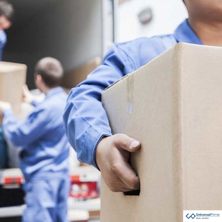 MirakRealty's tweet photo. Planning to move into a new apartment or move out? @universal_prime will arrange moving service for you. Let us take care of every single detail.
Contact us at 04 277 8034 
#UniversalPrimeDubai #RealEstate #Dubai https://t.co/areHO3z25X