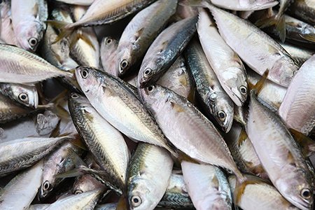 Desde la plataforma gastronomia.com apoyamos la iniciativa  #YoComoPescadoen #Peru