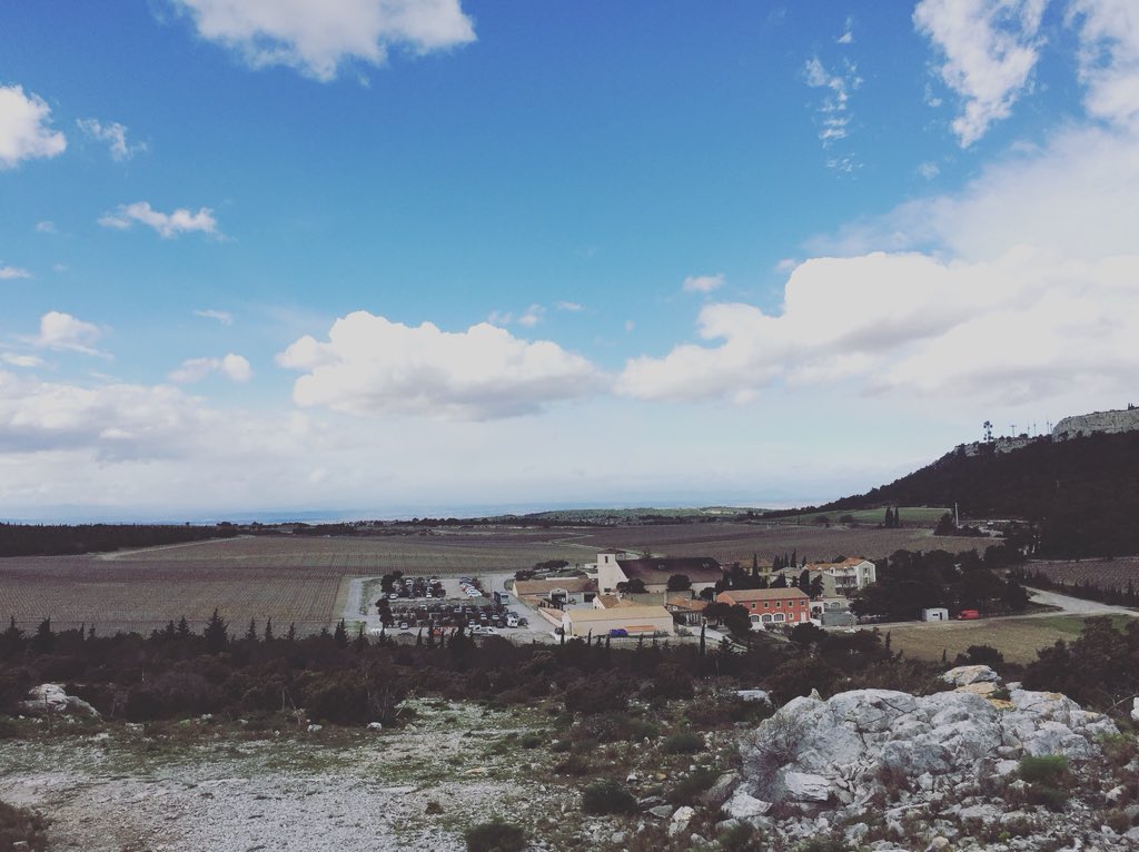 charouach1's tweet photo. En balade dans les vignes 🍇 #go4nego #mbs #montpellier @Montpellier_BS https://t.co/ahnGq7qYOW