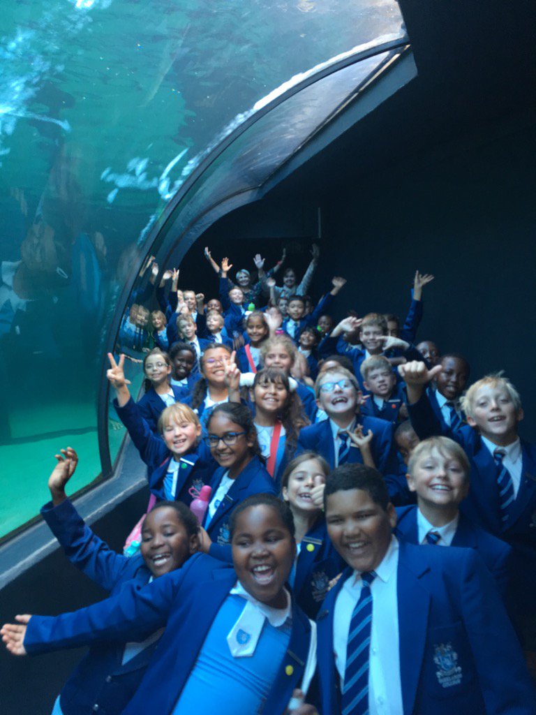 MrsKels's tweet photo. Grade 3 Outing to the Two Oceans Aquarium @ParklandsTweet https://t.co/jpO7Bz6DMY