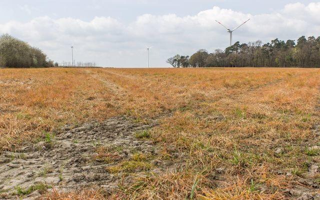 GreenFlex's tweet image. Bien-être animal, rémunération des agriculteurs... bientôt une note pour nos aliments #MarketingResponsable #Risquesproduits #Qualitéproduits #Filièresalimentairesdurables bit.ly/2oXGB6h