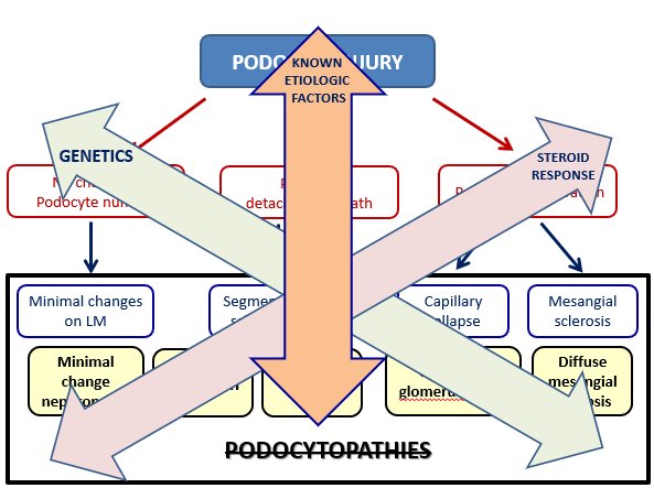 астрофизика