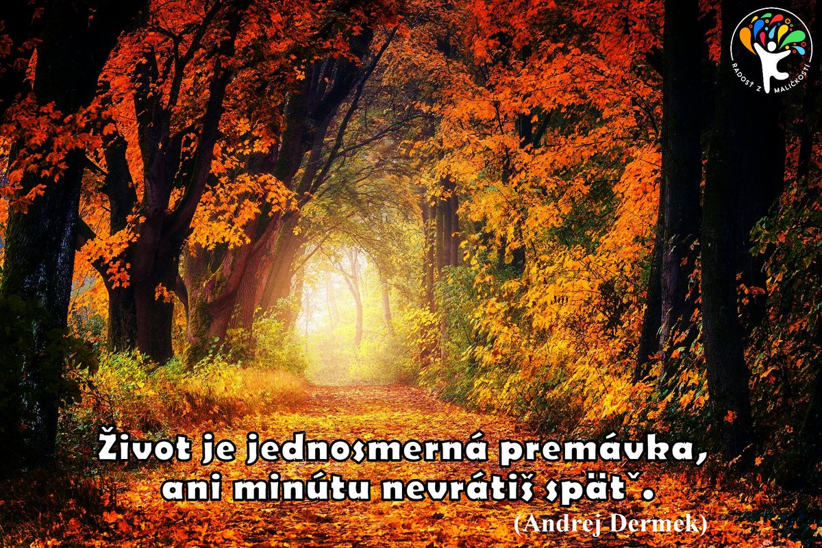 RadostMalickost's tweet photo. Život je jednosmerná premávka, ani minútu nevrátiš späť. 🚙🛤️
#radostzmalickosti #malickost https://t.co/ORhXCrzuql