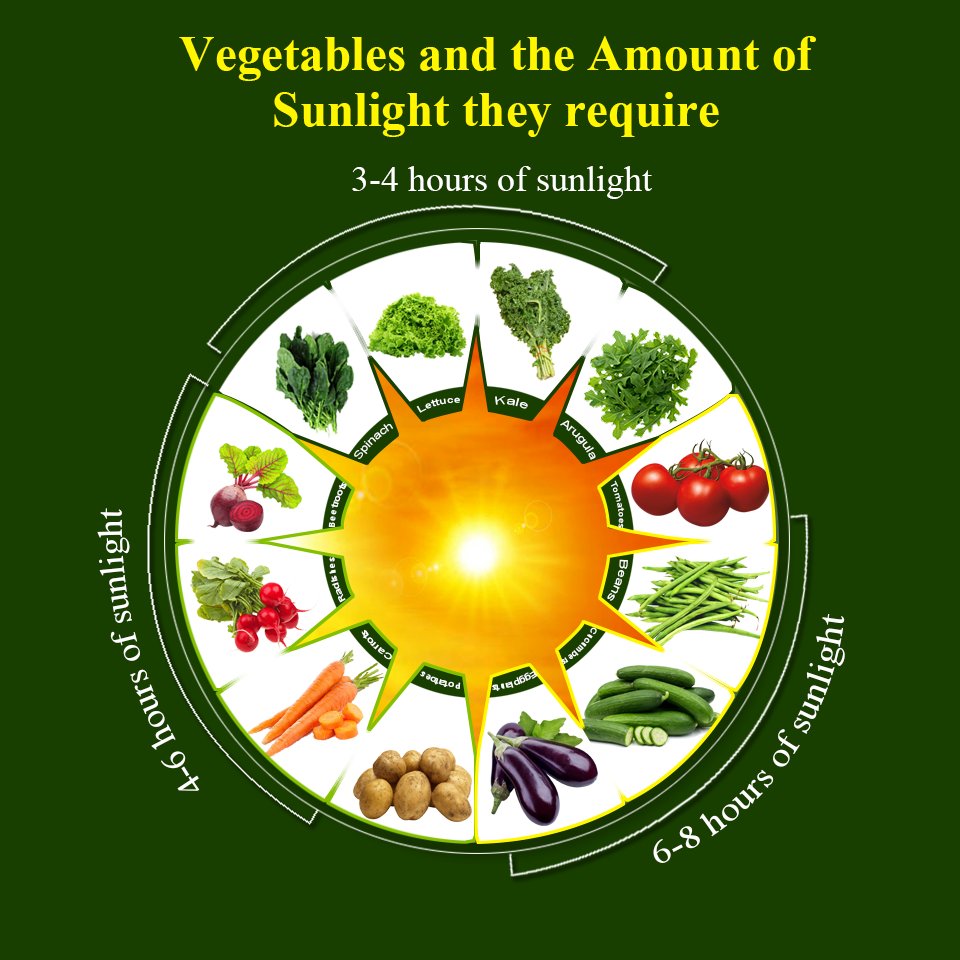 ebook