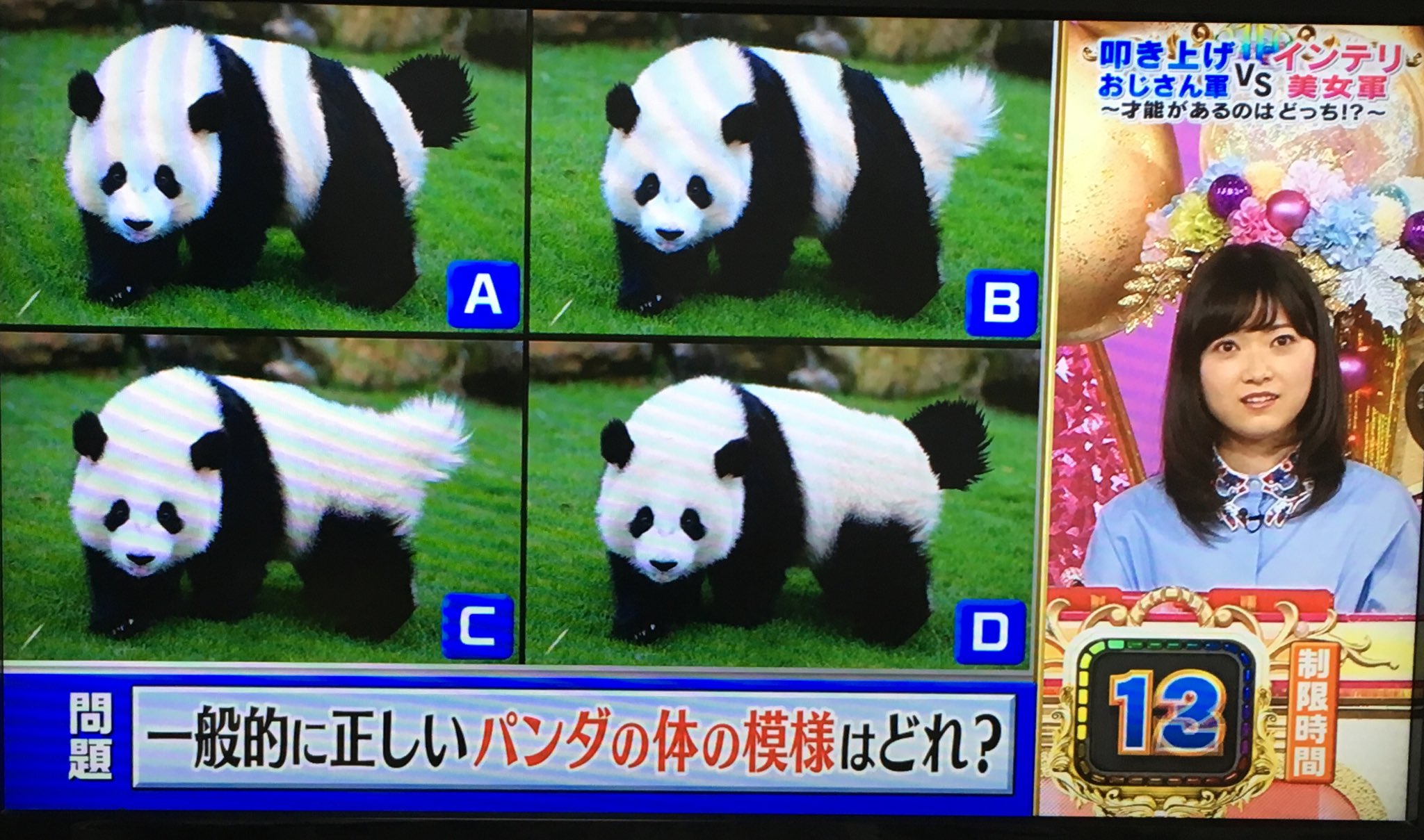 ふわふわり Pa Twitter 毎日パンダを見てるから簡単すぎる問題 パンダ ジャイアントパンダ パンダの体の模様 潜在能力テスト 尻尾が黒いぬいぐるみ売ってるんだ 正解はもちろんc T Co Enk7vsycuk Twitter