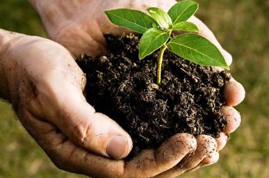 Dit jaar doet de gemeente Oss weer mee aan de Landelijke Compostdag. Op zaterdag 17 maart 2018 kunnen inwoners van de gemeenten Oss en Landerd gratis compost ophalen. Dat kan van 08:30 uur tot 15.00 uur bij de Milieustraat aan de Maaskade 28 in Oss.