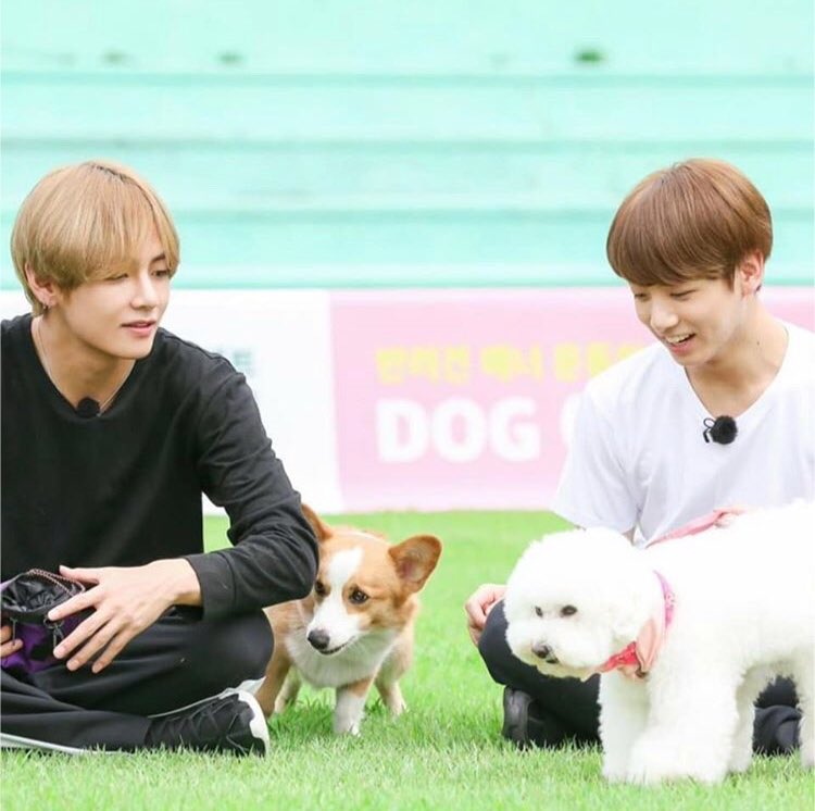 btbts__0613's tweet image. たまらないたまらないっっ😳😳
テテの微笑んでる感じとグクの可愛らしい笑顔最高✨💗✨

RTしたARMY全員フォロー

#ARMYさんと繋がりたい 
#armyいいねしてくれた人全員フォロー 
#ARMYさんRTorいいねしてくれたらフォローします 
#RTしたARMY全員フォローする 
#RTした人全員フォローする 
#グクテテ