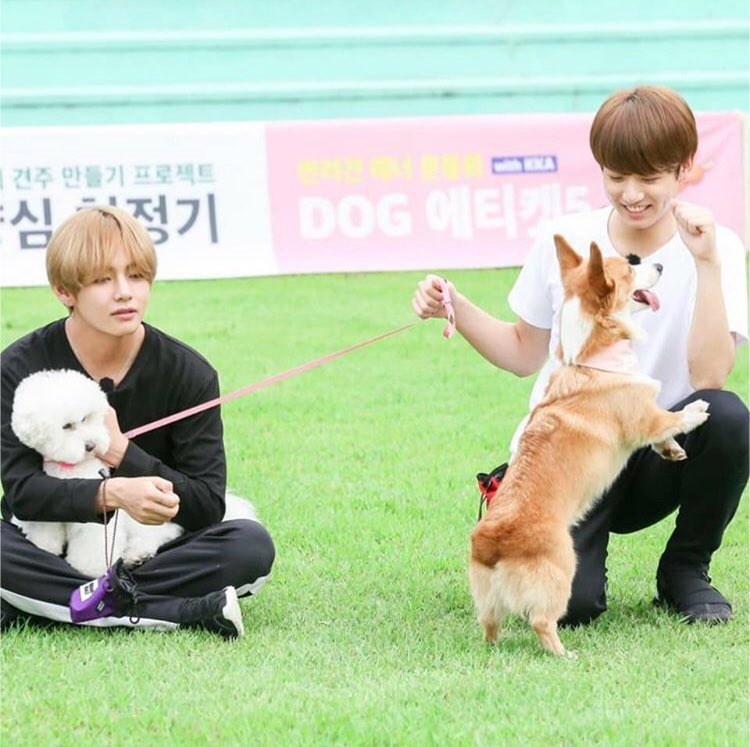 btbts__0613's tweet image. たまらないたまらないっっ😳😳
テテの微笑んでる感じとグクの可愛らしい笑顔最高✨💗✨

RTしたARMY全員フォロー

#ARMYさんと繋がりたい 
#armyいいねしてくれた人全員フォロー 
#ARMYさんRTorいいねしてくれたらフォローします 
#RTしたARMY全員フォローする 
#RTした人全員フォローする 
#グクテテ