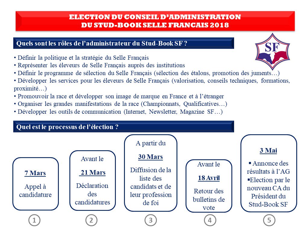 Selle Français tweet media