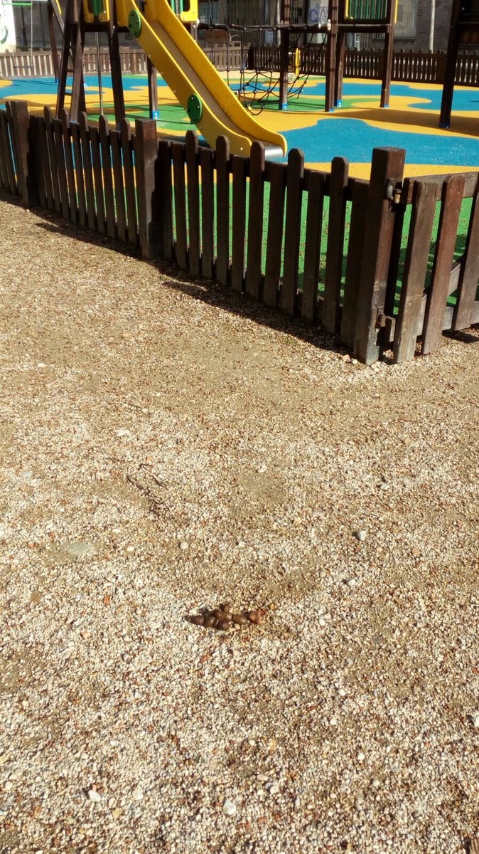 Hoy hemos denunciado la situación que viven algunos parques de nuestra ciudad, donde las heces de los perros forman parte del paisaje.
Algunos ciudadanos no respetan y el <a href="/aytohuesca/">Ayuntamiento de Huesca</a> no cumple con su obligación de limpieza desinfectando estos espacios.