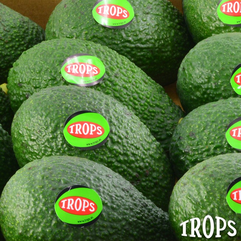 fTROPS's tweet photo. 🛒Comprar #aguacates en nuestra Tienda Online, es tan fácil como hacer clic aquí 👉🏼 https://t.co/fHg5viJOF4 ¡Y te lo llevamos a casa!🤲🥑🥑 https://t.co/Bb2cqPurcg
