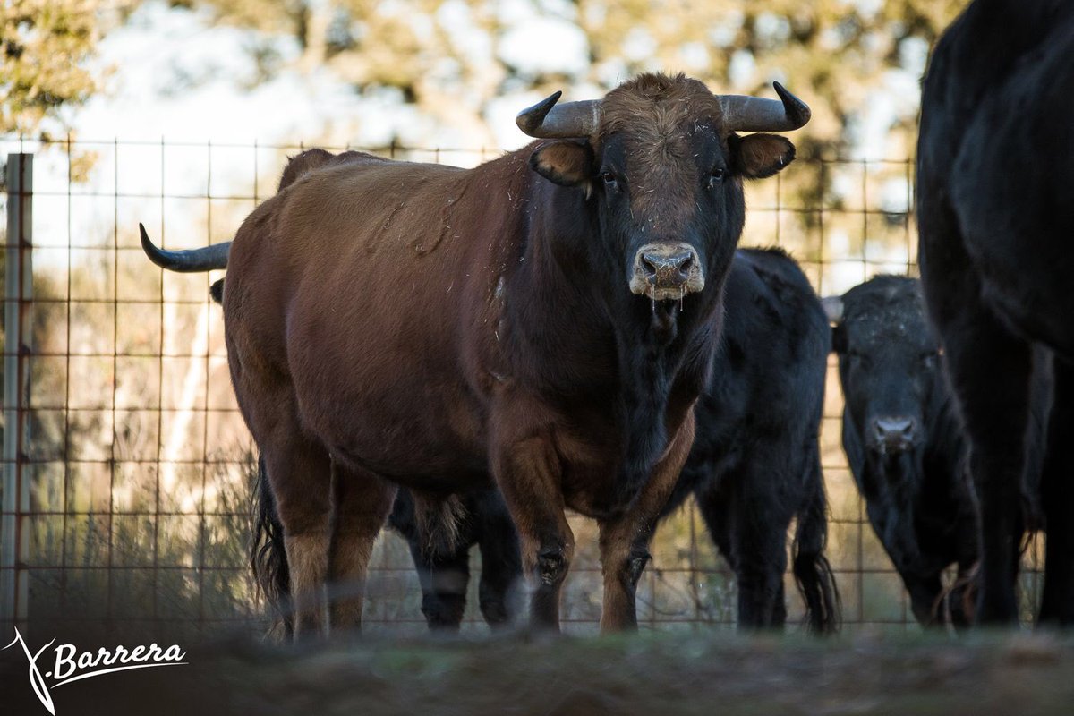 Ni los martes ni los 13 tienen por qué ser malos...  🍀
