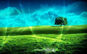 Test Company US tweet media