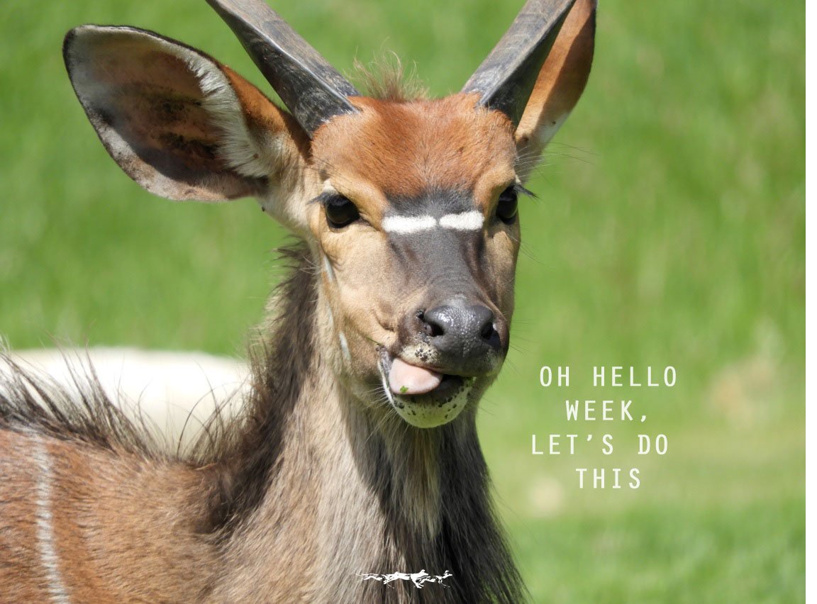 A Monday well spent brings a week of content <a href="/wildehondekloof/">Wildehondekloof</a> <a href="/CapeCountryR/">Cape Country Routes</a>