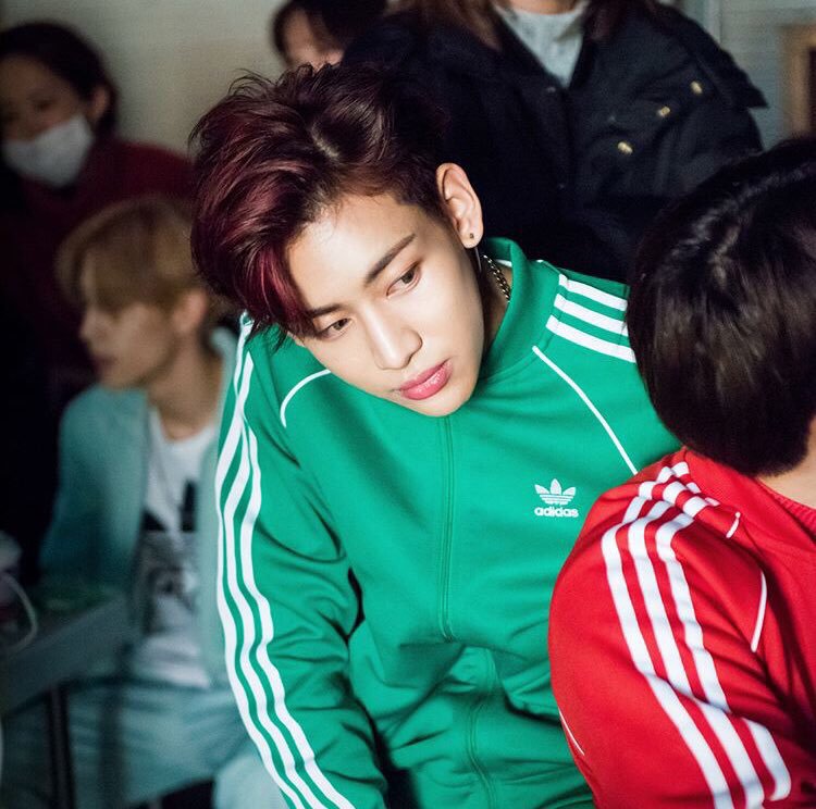 sst track jacket green