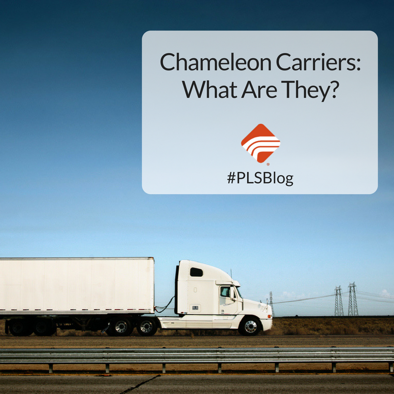 PLSLogistics's tweet photo. Chameleon carriers are costing the industry millions. Uncover what are they and how can they be detected in this week's #PLSBlog https://t.co/RFR3UlwfYy #transportationblog #supplychain https://t.co/XDxPG9ZMsP