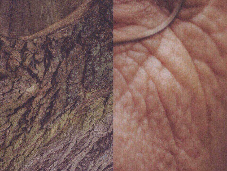 JRGNDRS25's tweet photo. Somos universo, tierra y naturaleza. https://t.co/szlSfWIACL