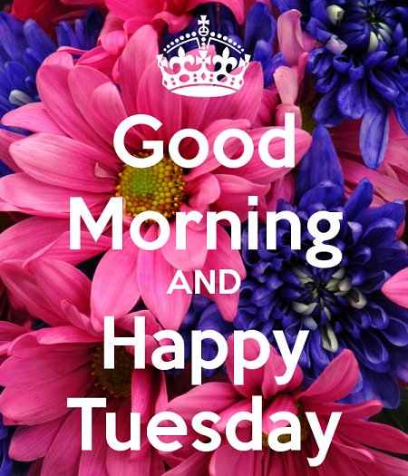 pennybingo's tweet photo. Happy Tuesday! £1000 Treasure Tuesday game at @cluckybingo Plus new deposit bonuses ->  https://t.co/Sm5x7Avr1Z 18+ Ts&amp;Cs apply #freebingo https://t.co/HA6lxC1qfE