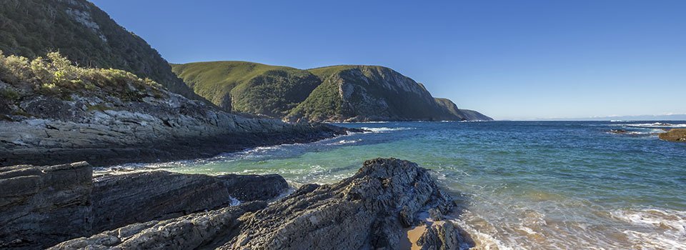 PlettPAA's tweet photo. NEW BLOG - The natural wonders of #PlettenbergBay. The name says it all…#GardenRoute. Plettenberg Bay lies at the heart of this region, along the Southern Cape coastline of South Africa. 
https://t.co/dd05OXbrlq
#SouthAfrica @ShotLeft @Plett_Tourism #Plett #Travel #Nature https://t.co/cV8GUCccfr