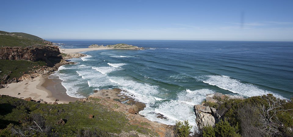 NEW BLOG - The natural wonders of #PlettenbergBay. The name says it all…#GardenRoute. Plettenberg Bay lies at the heart of this region, along the Southern Cape coastline of South Africa. 
plettenbergbayinfo.co.za/news/plettenbe…
#SouthAfrica <a href="/ShotLeft/">Sho't Left</a> <a href="/Plett_Tourism/">Plett Tourism</a> #Plett #Travel #Nature