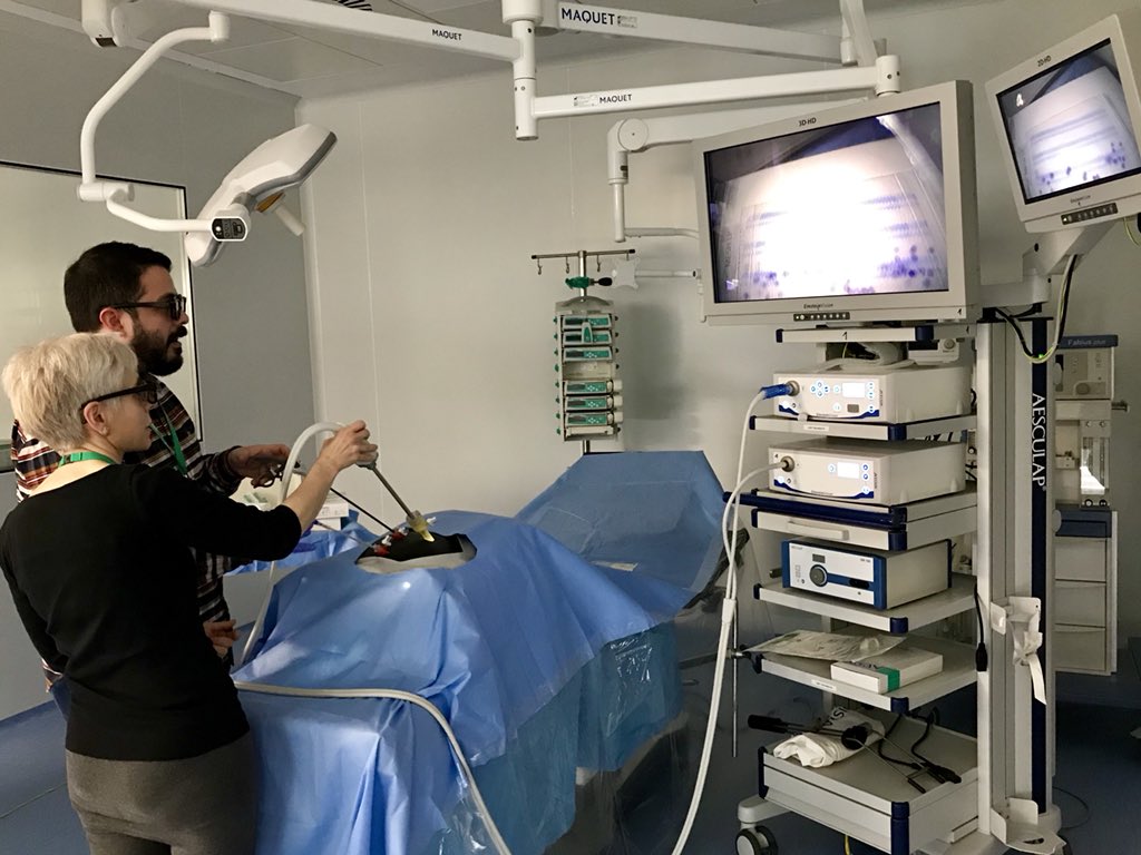 Gabboddg's tweet photo. Updating with #JuanBellido from #HUVM  in #MIS #HerniaSurgery, loving #currentevidence and devices https://t.co/F2hBsHDAPe