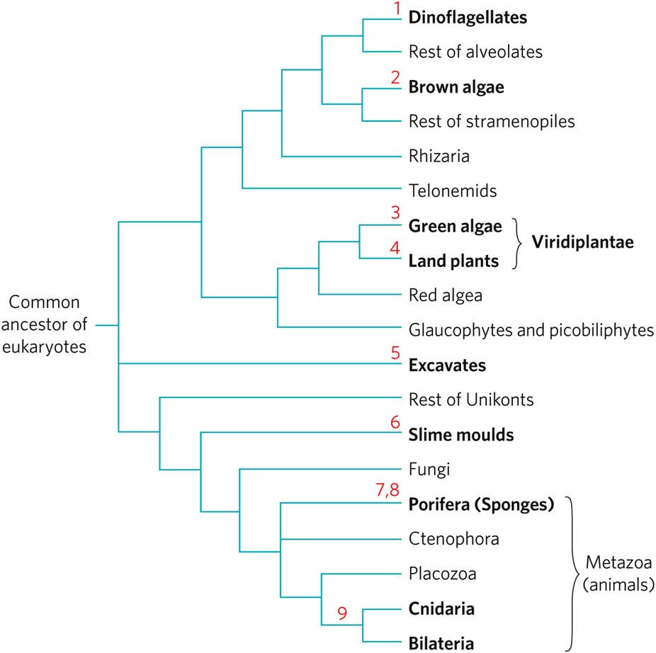NatureEcoEvo's tweet image. The evolutionary origin of plant and animal microRNAs nature.com/articles/s4155… #March2017highlight #ICYMI