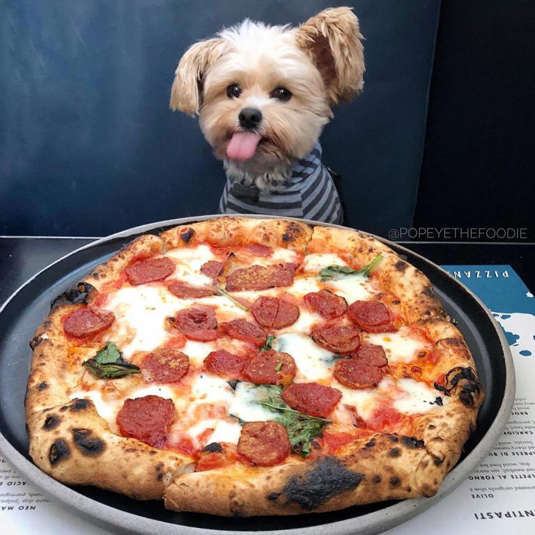 hellofoodieLA's tweet photo. My pupperoni – @pizzana_ … .. #laeats #hellofoodie https://t.co/vC64dMLr8Y