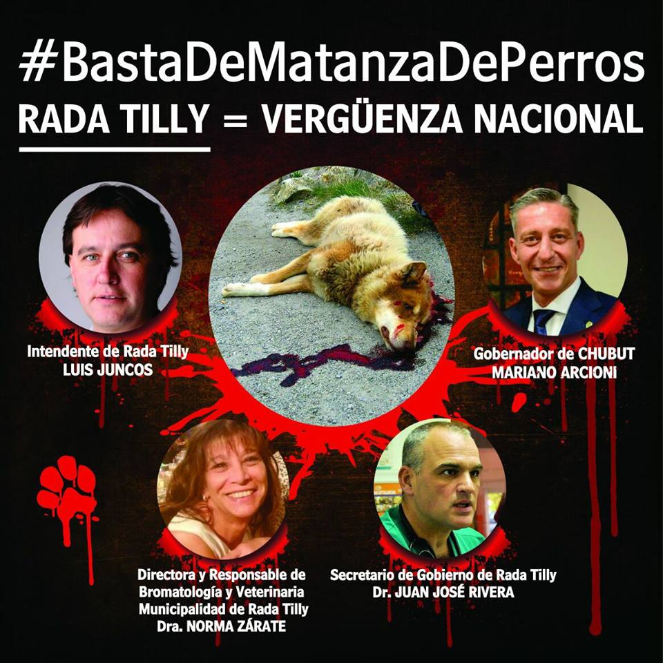 animaloyy's tweet photo. RadaTilly - Chubut #MATANZADEPERROS #SALUDPUBLICA @arcionimariano @rtillynoticias
Intendente LUIS JUNCOS pare de Matar!! Castraciones Gratuitas YA!! https://t.co/N9BPF3uEcJ