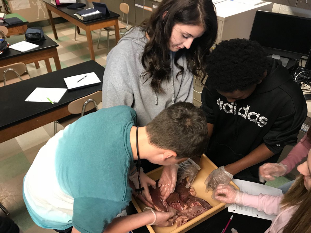 maryegrow's tweet photo. Ms.Cornnell’s bio class working with cow and pig hearts!  I learned a lot today! Thanks Ms.Cornnell. #EICSD https://t.co/2rQpi2uMIb