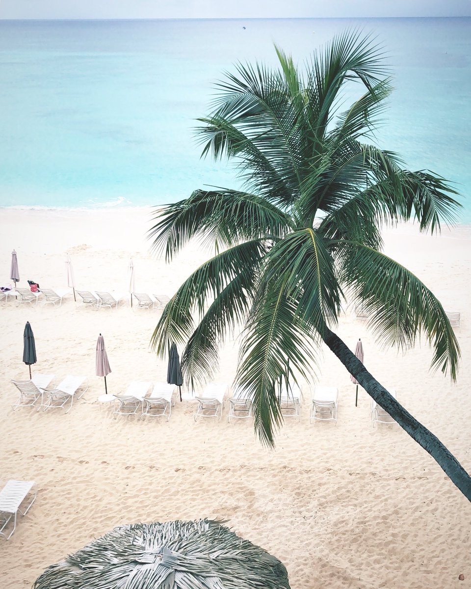 Back in my favorite beach location! Any guesses where?