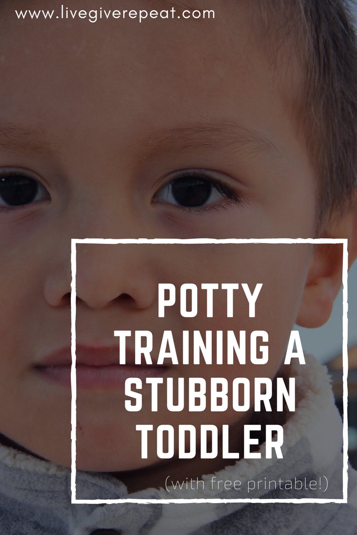 livegiverepeat's tweet photo. I never thought it would happen, but I FINALLY potty trained my unwilling toddler! Here is a free PDF printable based on what worked for us... you can do it too! #pottytraining #mommylife 

https://t.co/JdeJdHBxhY https://t.co/H7qkRt9fIa