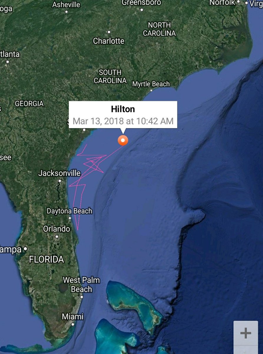 linds4fins's tweet photo. It's #TrackerTuesdayTrivia! How far on average did @HiltonTheShark swim in 24 hours according to his latest ping? Using that answer, how many miles could he swim in a week, on average? https://t.co/eTJ67TDr1w