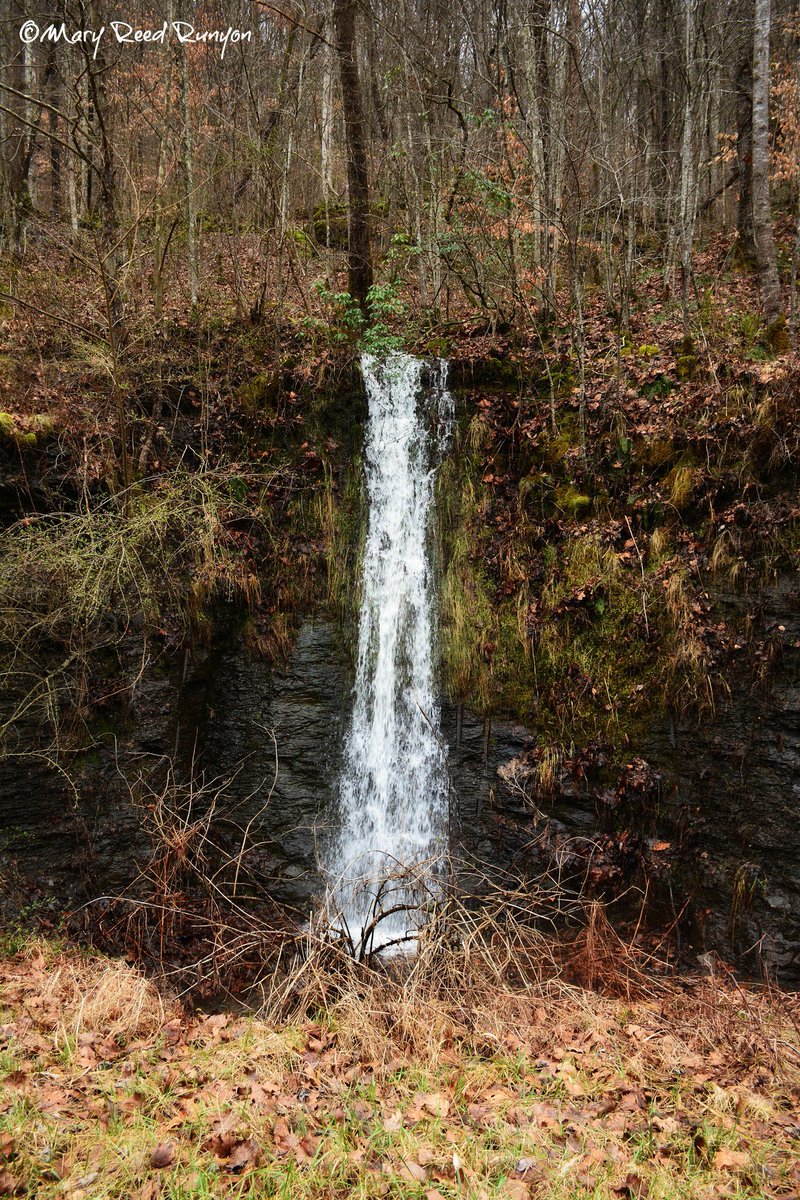 BluegrassScenes's tweet photo. An impromptu waterfall from winter flooding in Kentucky, by @MaryReedRunyon1 https://t.co/EvblJIxeHs