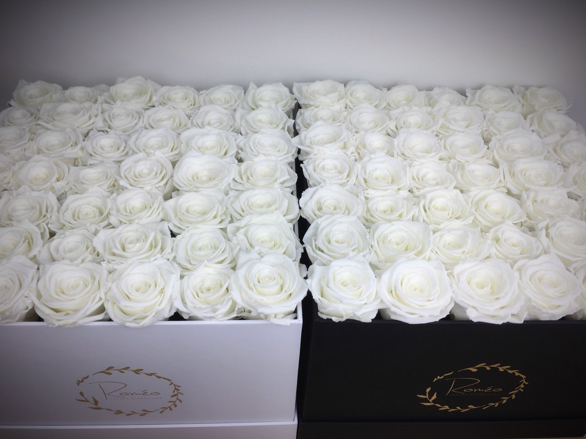 shop_romeo's tweet photo. Perfect combo 🙈
https://t.co/vai5mvGfQh
#romeo #fatale #ivory #roses #flowerbox #lovebox #perfectgift #rosebox #flowers #perfectcombo #gifted #lovers #perfectduo #events #evenement #wedding #weddingflowers #weddinggift #amoureux #concept  #fabricationfrancaise #madeinfrance https://t.co/6nJAL5zWMl