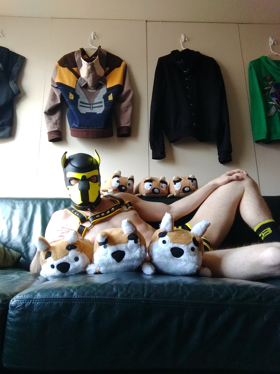 Cody 🗑️🦝🐷 tweet media