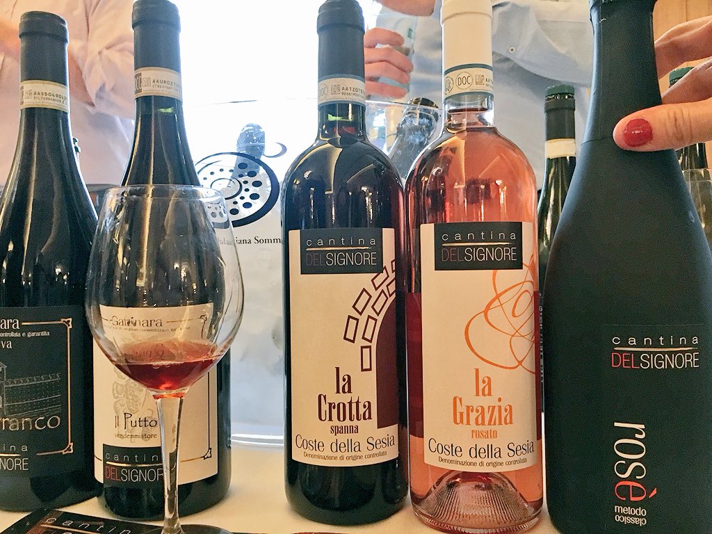 PaoloValente88's tweet photo. Il nord Piemonte riserva sempre grandi emozioni! #vini diritti e sinceri, eleganti.  @cantineGarrone @GattinaraWine #Antoniolo #FrancescoBrigatti. @AISMilano @WestinPalaceMil https://t.co/DEFk2WNQ9A